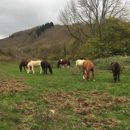 Le Hameau De Sylvanes Kültér fotó