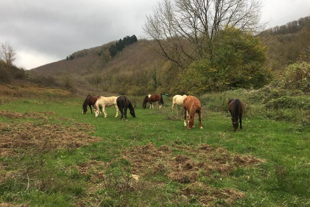Le Hameau De Sylvanes Kültér fotó